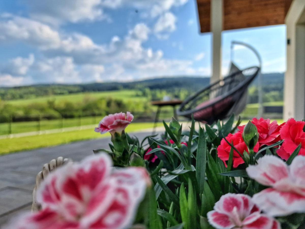 Lackowa Chill And Rest Dom Z Balia Krynica Zdroj Uscie Gorlickie エクステリア 写真